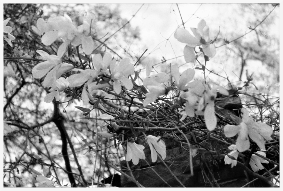 Konkurs maj-czerwiec "wiosna"