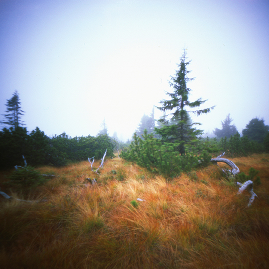 Pinhole 6x6 Velvia 50