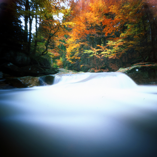 Pinhole 6x6 Velvia 50