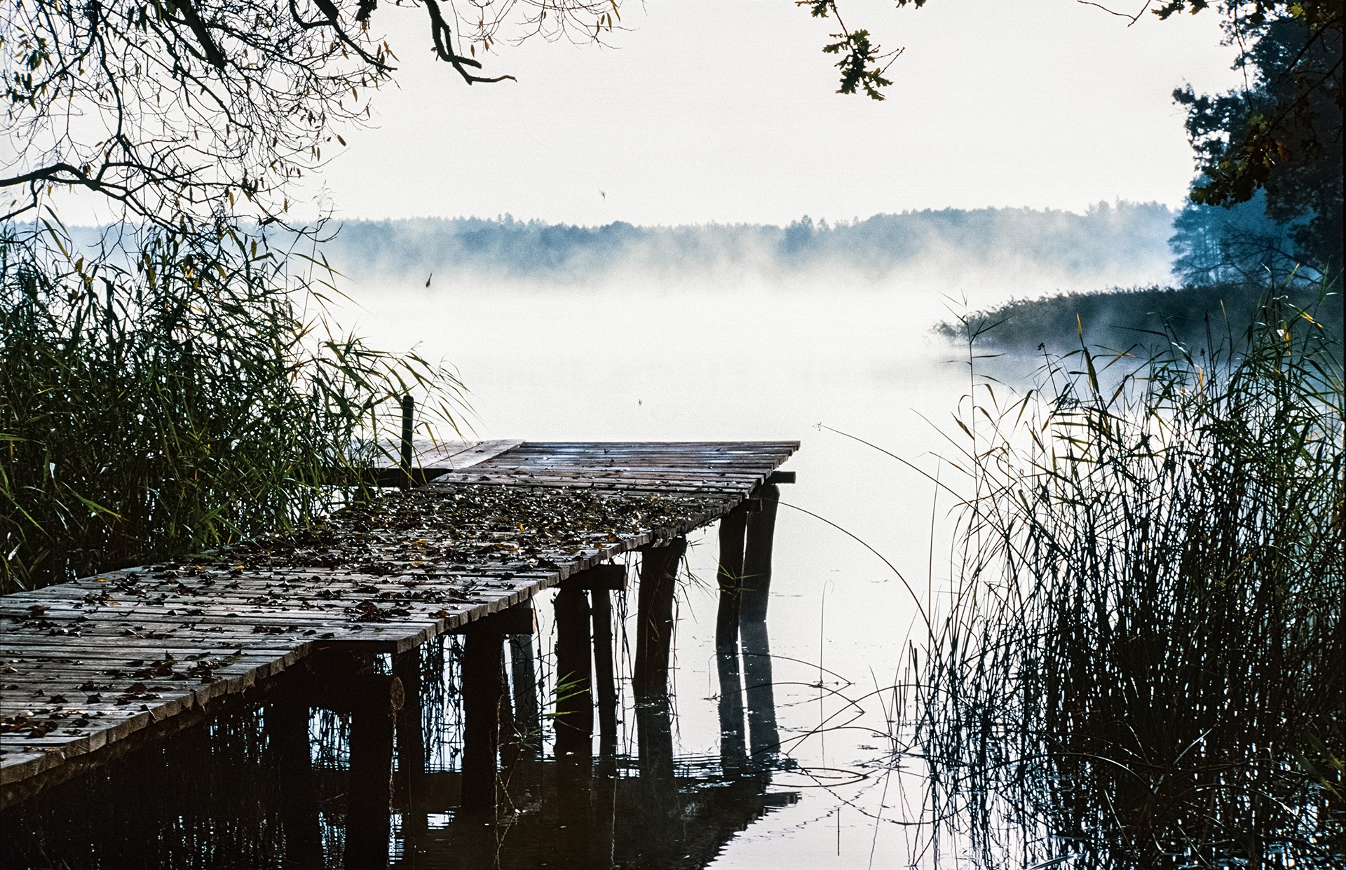 Gdzieś na Podlasiu