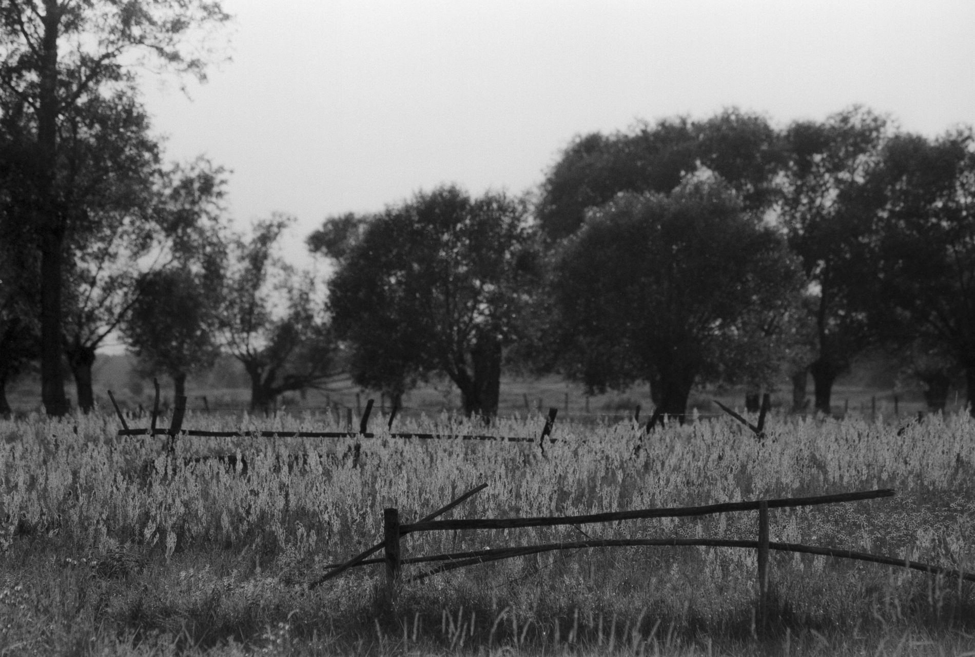 Płotek