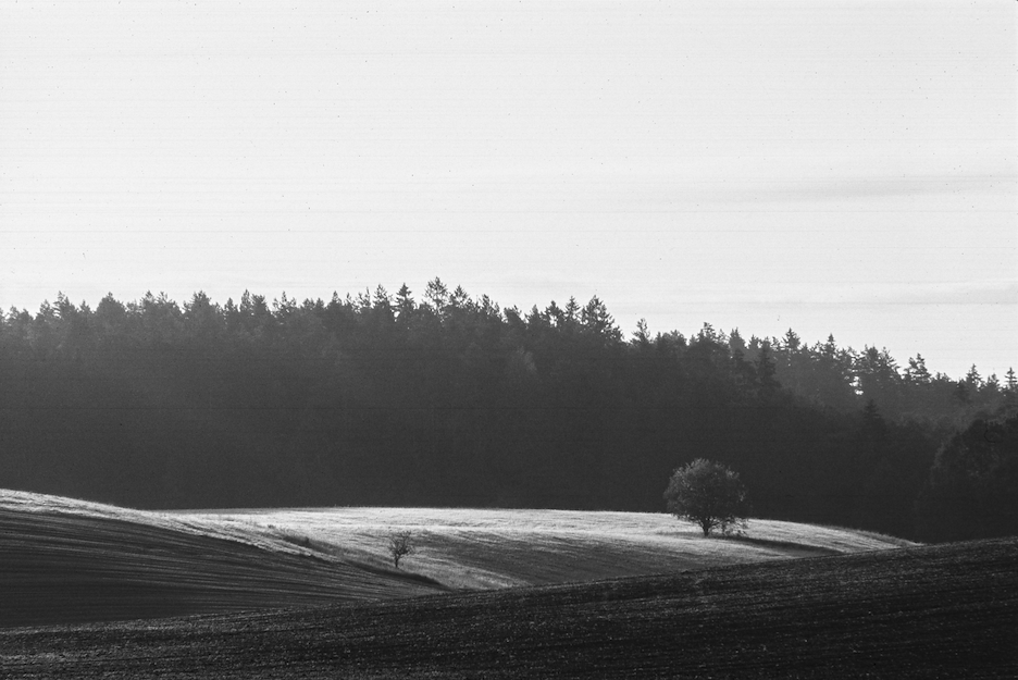 Widoczek na skraju Boreckiej