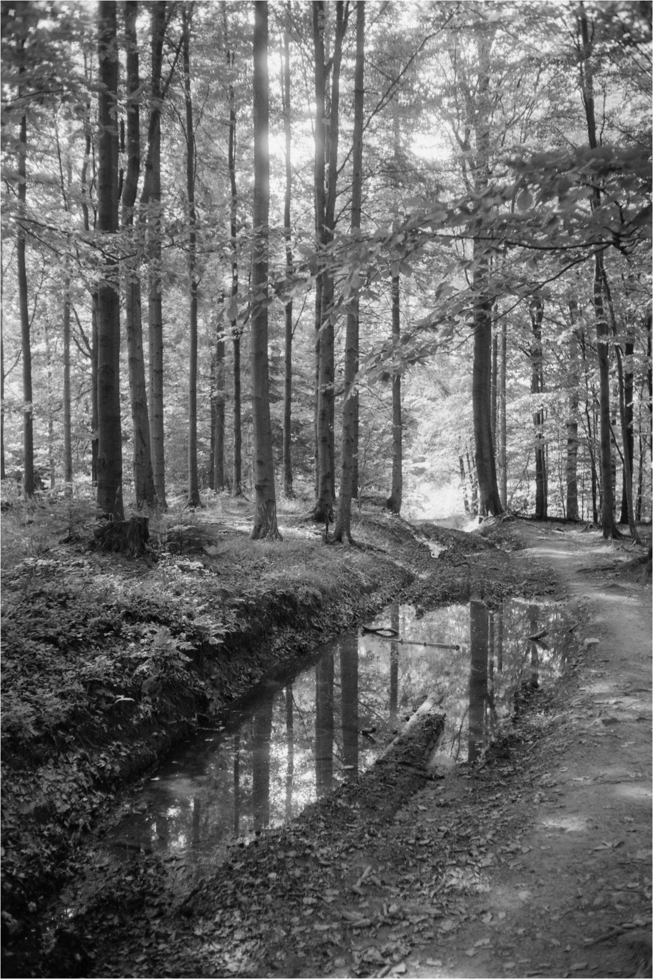 włóczęgowo