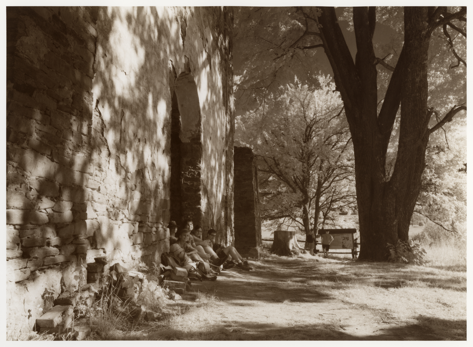 Albumowiec
