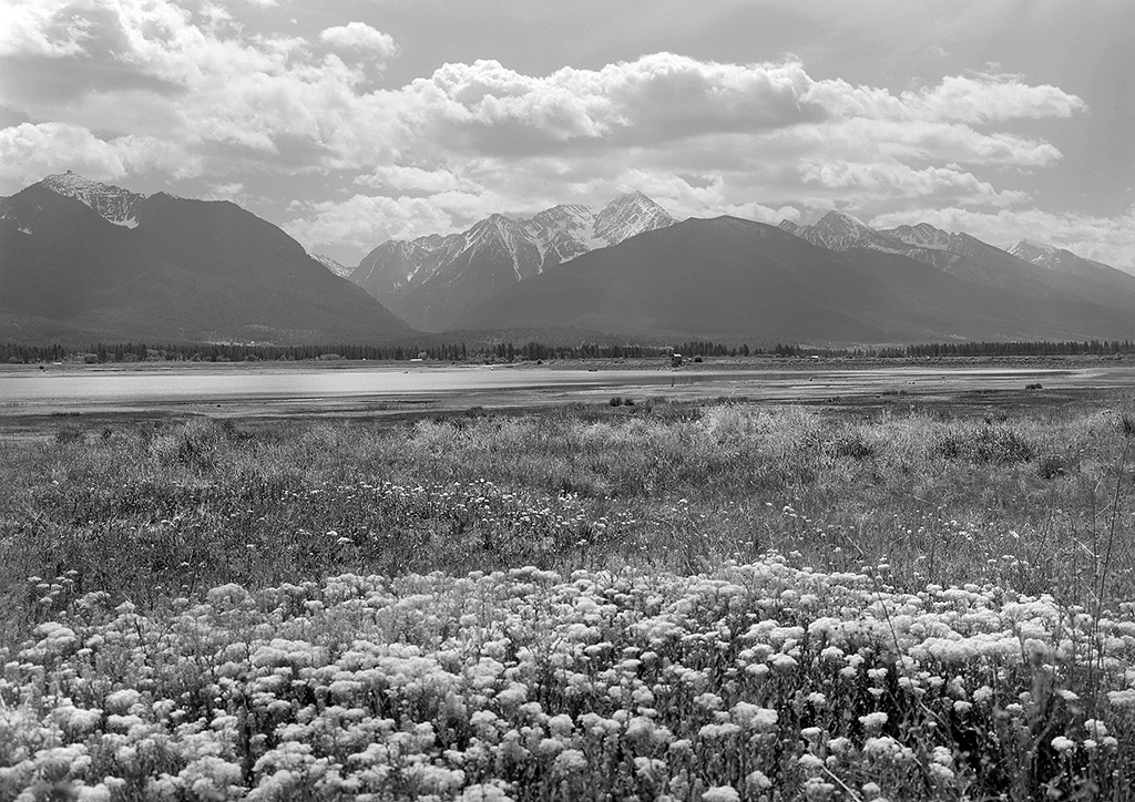 Montana