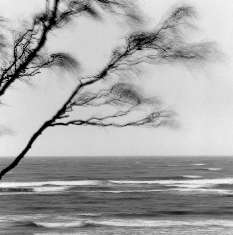 Zdjęcie bez kota, ale niewyraźne