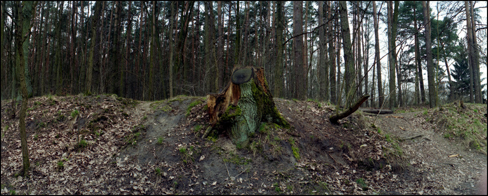 Nie mam głowy do tytułów