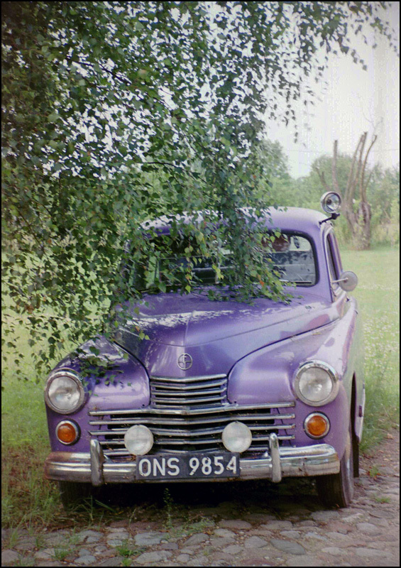 limuzyna