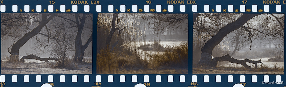 Tryptyk 