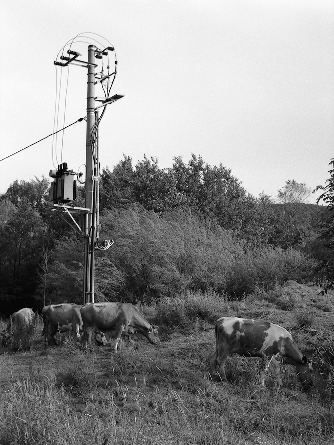 elektrycznie