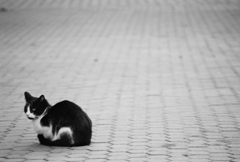 alone in the "city gray"