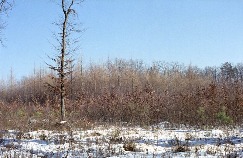 słoneczny zimowy dzień