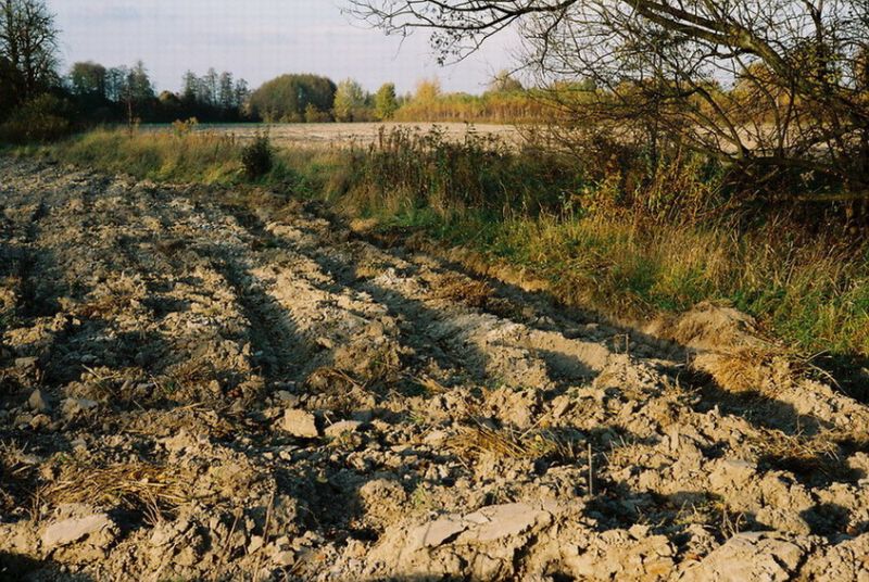 listopadowy landszafcik