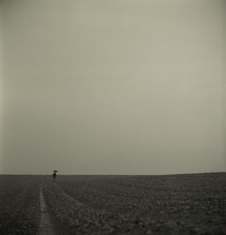 traveller