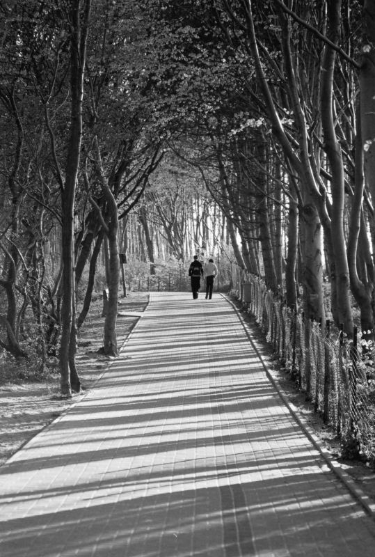 Promenada