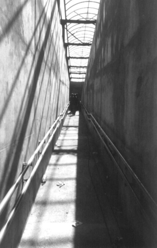 Miejskie prespektywy