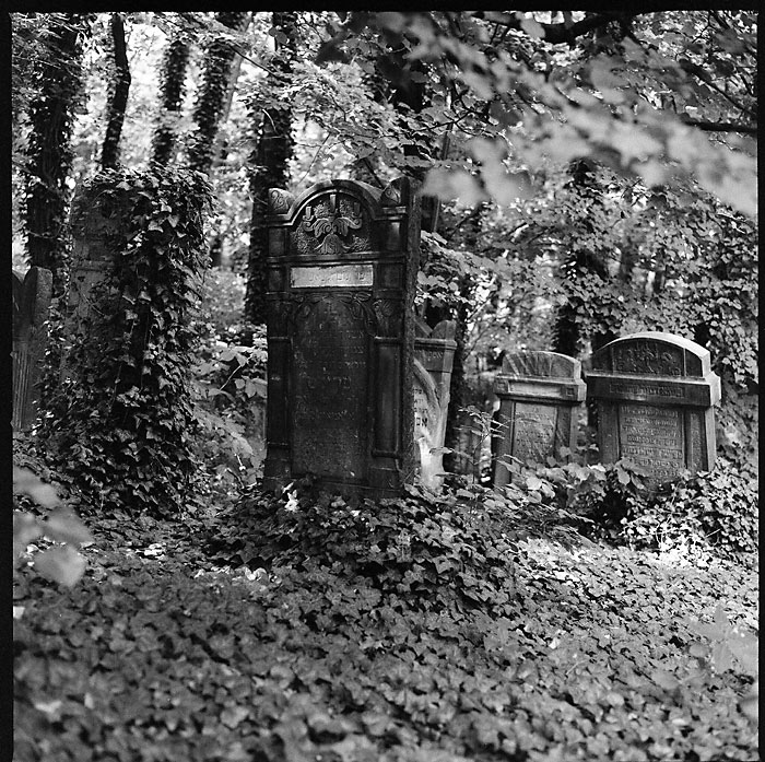 Znowu Stary Cmentarz