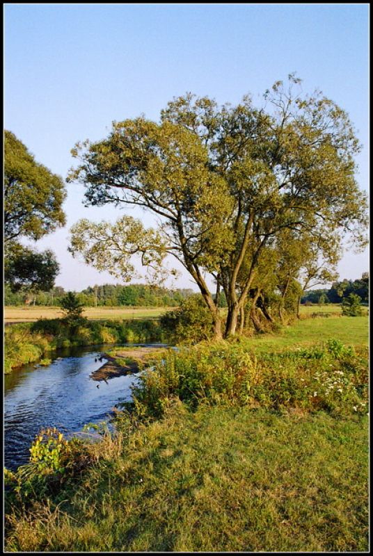 landszaft I