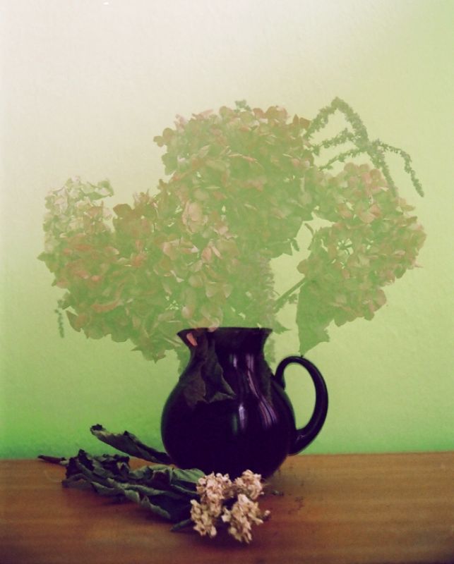 Kwiaty podwójnie naświetlane