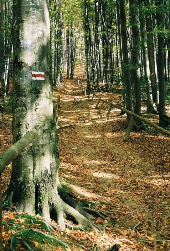 Bieszczady