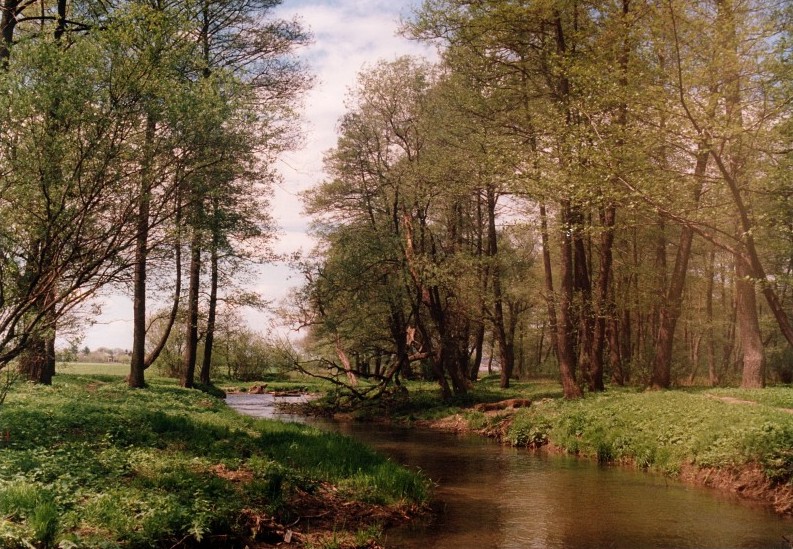 rzeczka