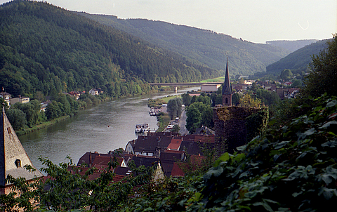Neckar