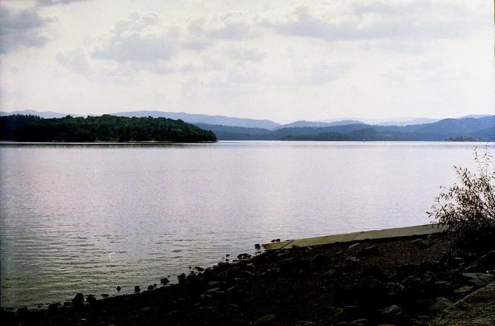 Solina