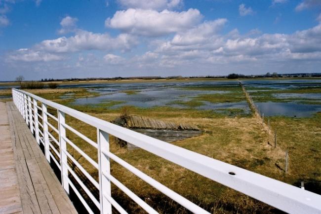 Biebrzańskie klimaty