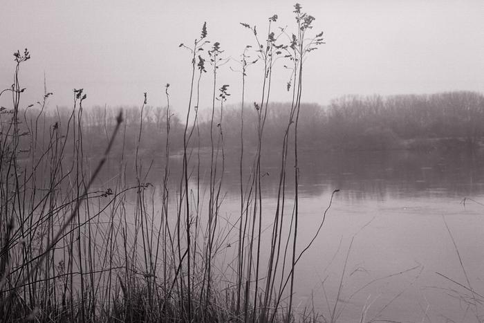 Przed nadejściem wiosny