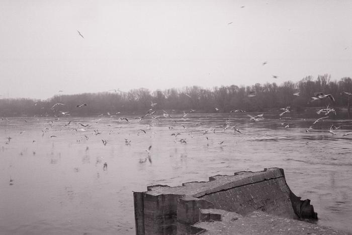 Przed nadejściem wiosny