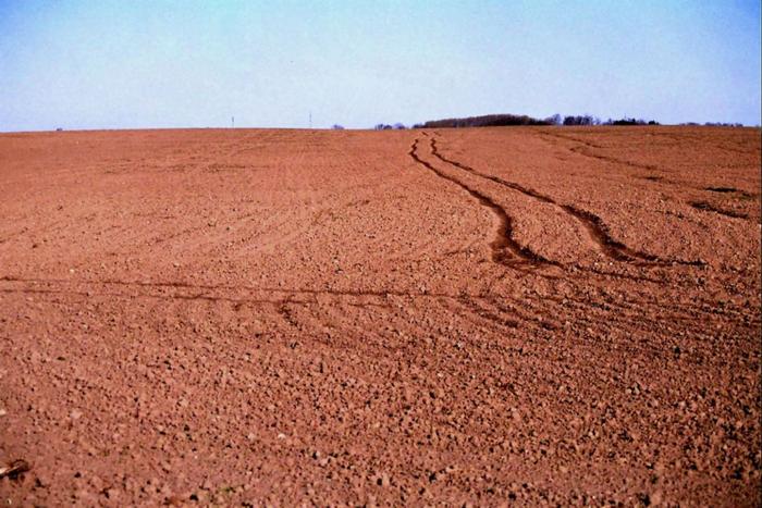 Czerwone pole kaszubskie