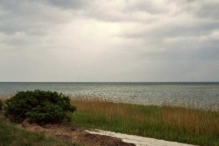 Zatoka