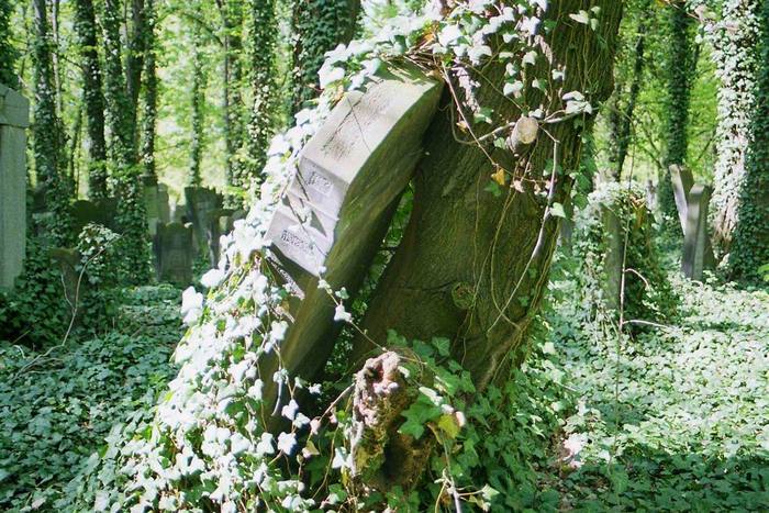 Śmierć oparta o życie?