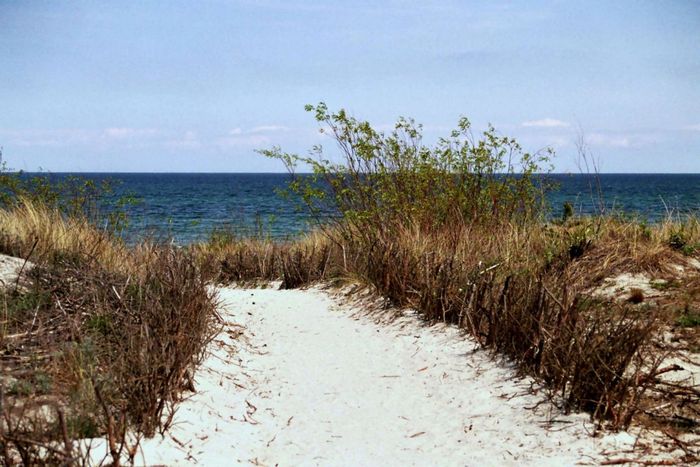 Na plażę