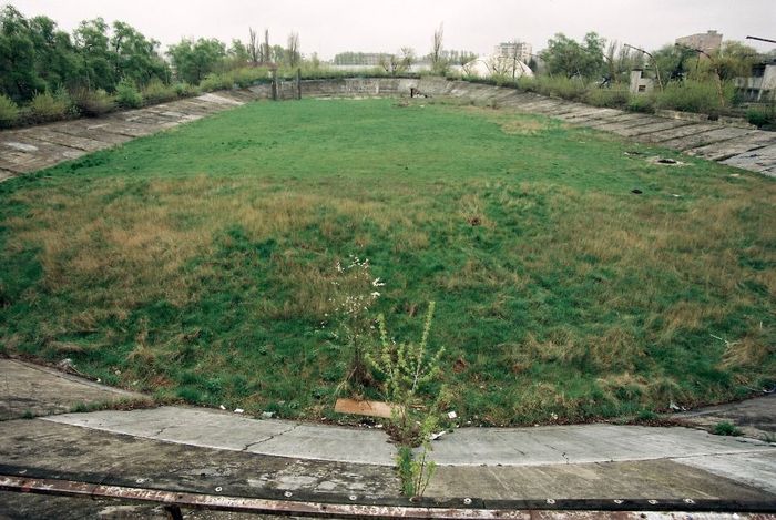 orzeł