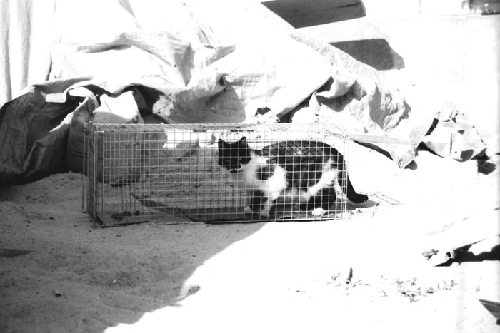 A może warto zaryzykować?