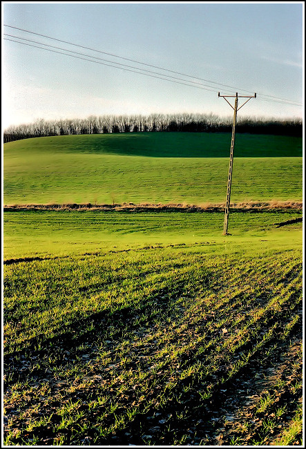 elektryczne pole