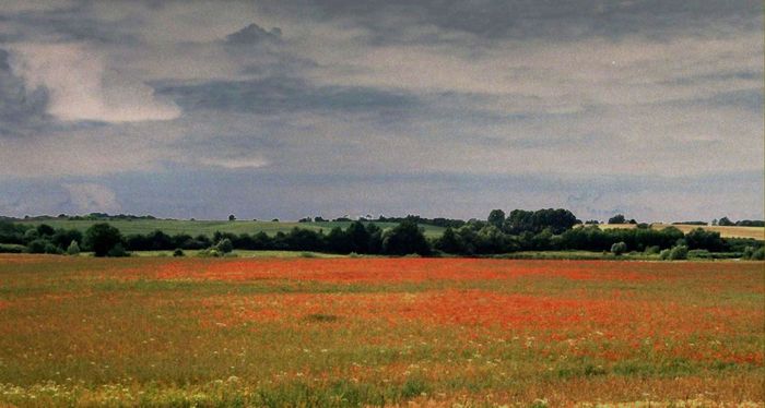 Malowany pejzaż kaszubski