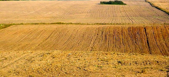 Zaoranie