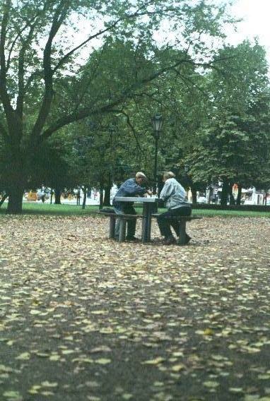 parczek w centrum Łodzi