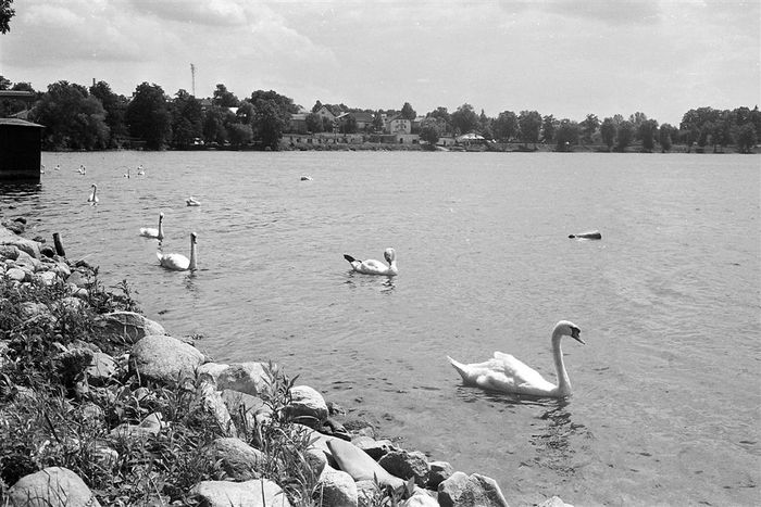 Akurat wracałem z piekarni