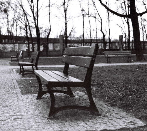 Ławki we Wrzeszczu