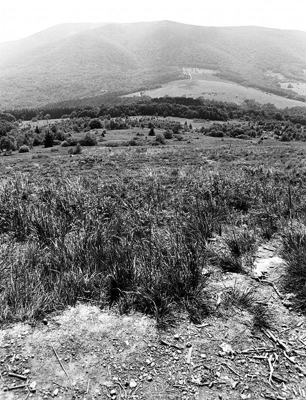 Bieszczady *1
