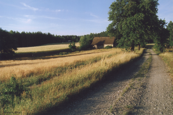 piechotą do lata