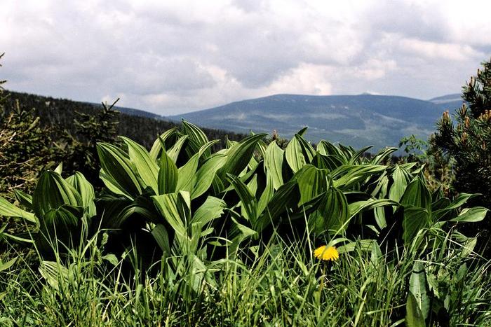 klasycznie: wzniesienia