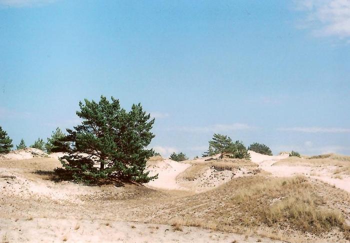 Słowiński Park Narodowy