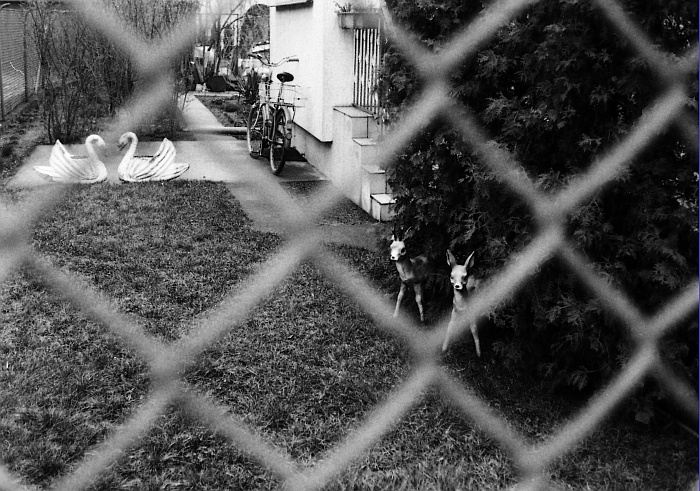 street6