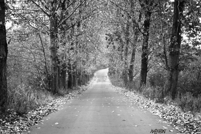 going to nowhere