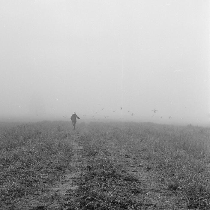 Foggy day in L.