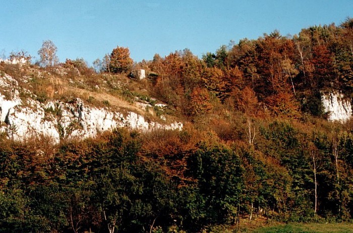 Barwy jesieni